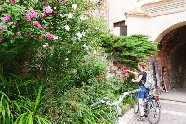 wycieczki-rowerowe-po-krakowie-BikeTrip-tyniec-6