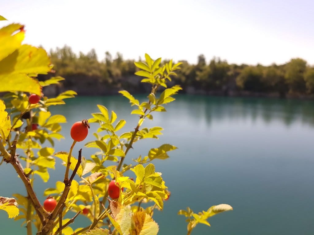 Zakrzówek i natura