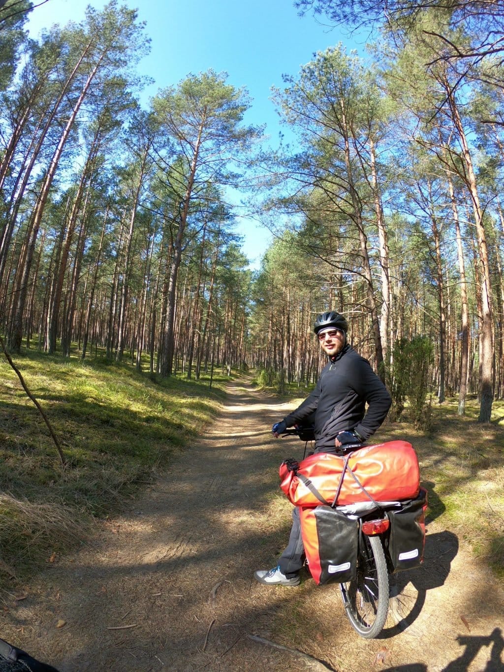 Wyprawy rowerowe do lasu