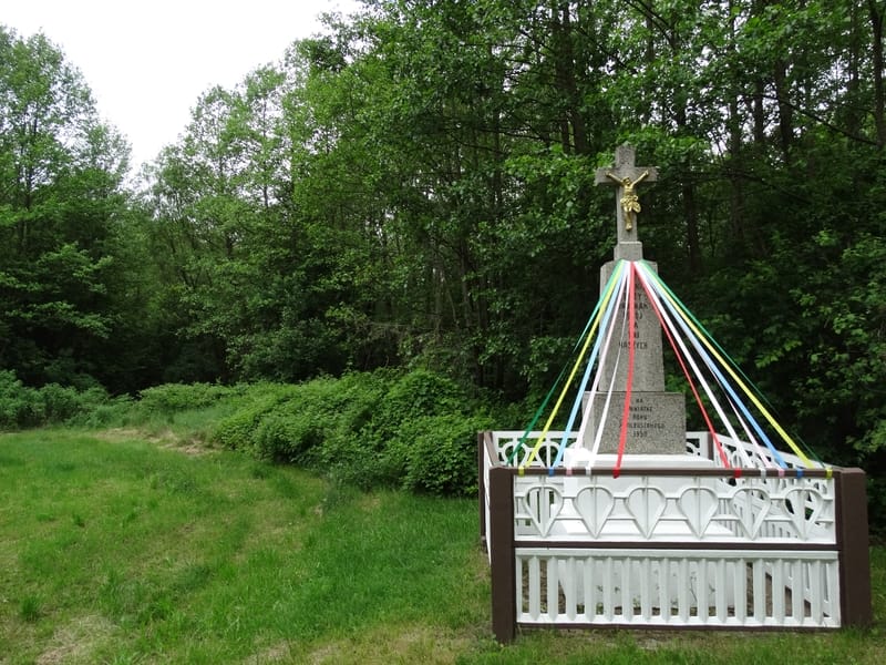 Polska Wieś Rowerem