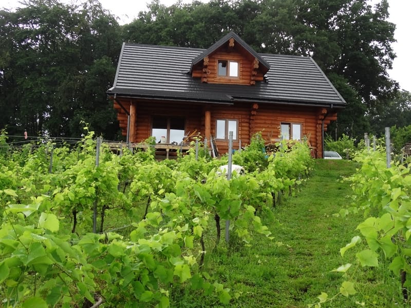 Winnica Uroczysko latem