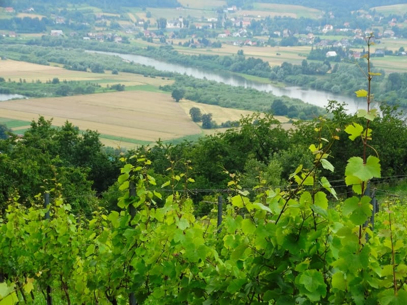 Winnica Uroczysko widok