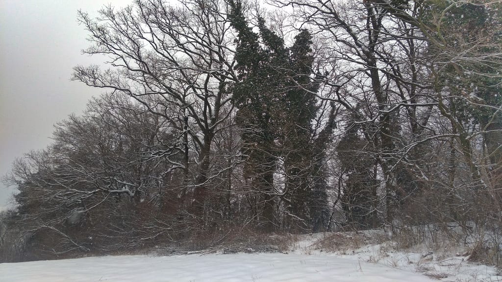 Uroczysko Janowice