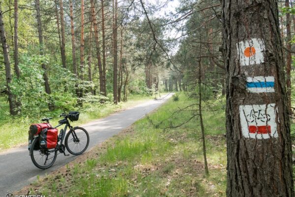 Rewelacyjna droga rowerowa między Ostrężnikiem a Żarkami