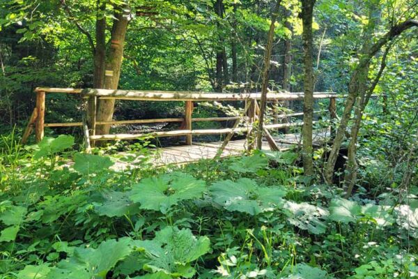 low beskid cycling holiday BikeTrip 12