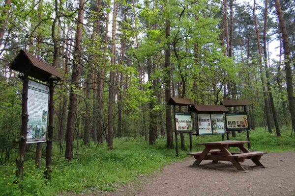 Staw Puszcza Niepołomicka 1